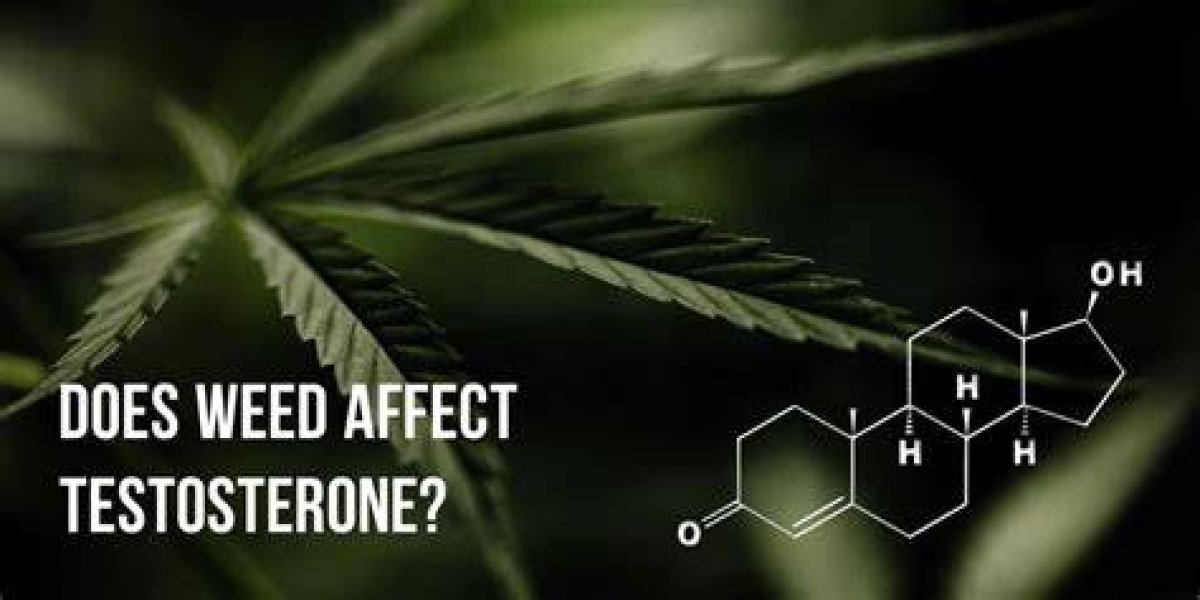 Dazeblog | Does Weed Affect Testosterone?
