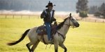 Discoveries and Insights from Yellowstone
