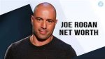 Unlocking Joe Rogan's Net Worth: Unveiling Secrets and Surprises